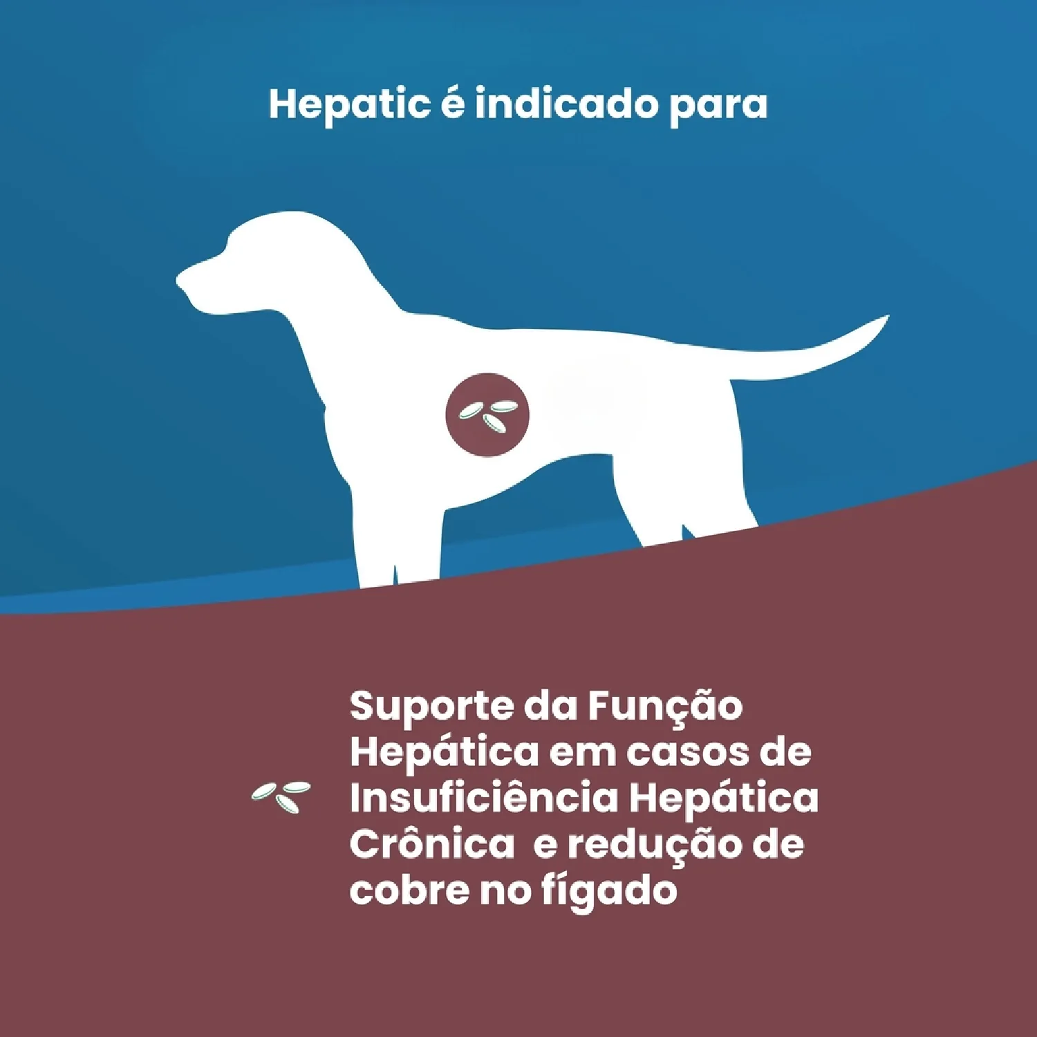 Racao Umida Vet Life Hepatic para Caes Adultos 2